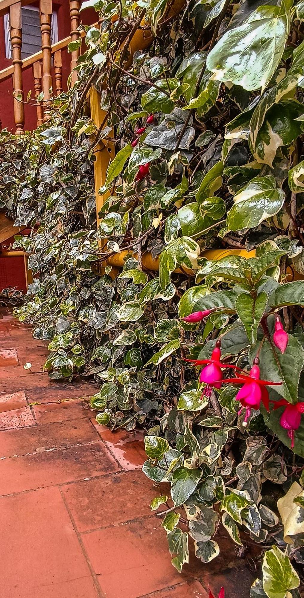 Loki Cusco Hostel Exterior photo